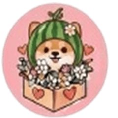 Chihuahua wearing a watermelon hat