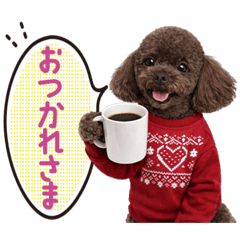 RIEDA_20260411160523