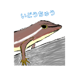 msm_20260411160650