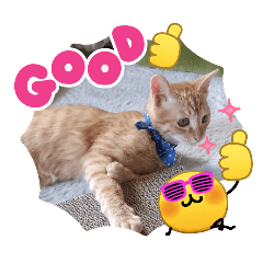 miyu!_20260412183325