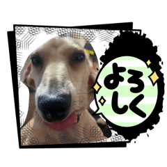 yuka_20260412183633