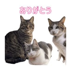 Fujimaru_20260412221241