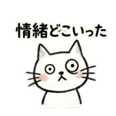 Chill Cats: Internet Reactions