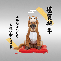 DOG  GOOD  Sticker220