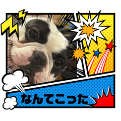 RINGOAME_20260411182142