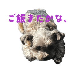 Choco_20260412132434