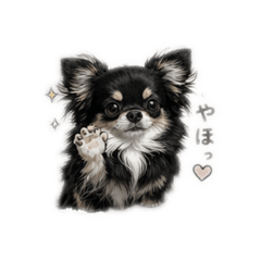 mimi_20260412230934