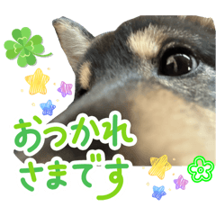 Yamayama_20260412192756