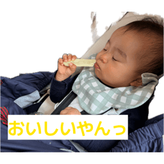 avocado_20260412231623