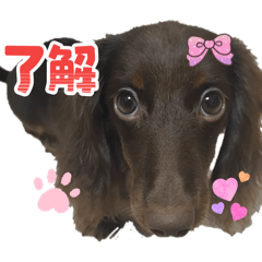 hanya_20260413000214