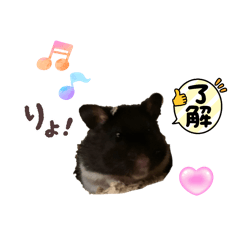 sayaka_20260413023404