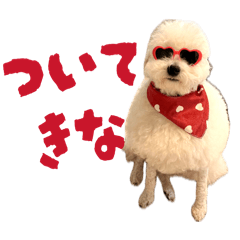 Buri_corporation_20260413022308