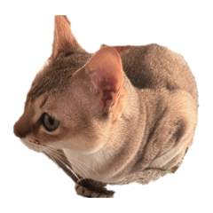 kotaro_20260413021138