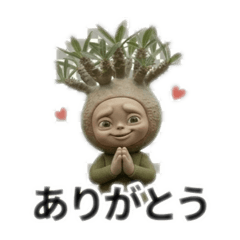 Planchu Gracilius Greetings