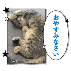 Churuko_20260413033756