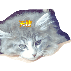 Hiromu_20260413091629