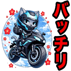 Cool Cat Cyan SS Bike 3 Spring