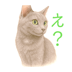 Itopi_20260412151432