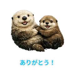 Sea Otter Family: Daily Fun