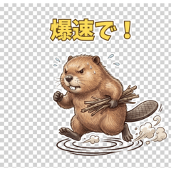 Busy Beaver's Daily Life