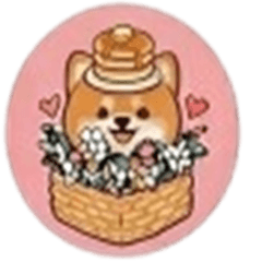 Chihuahua's pancake hat