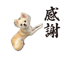 merrykun_20260412093046