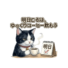 Tuxedo Cat's Midnight Me-Time