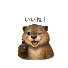 beaver.japanese
