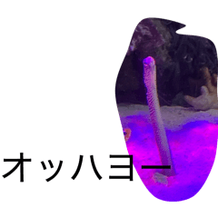 keito_20260412112842