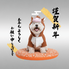 DOG  GOOD  Sticker223