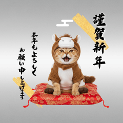 CAT  GOOD  Sticker96