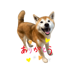 KABOMONA