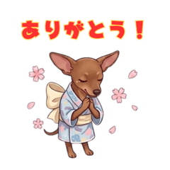 Mini Pinscher Daily Stickers1