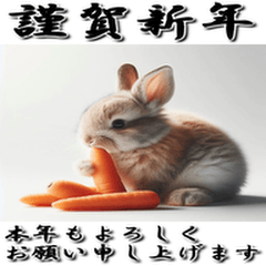 Happy New Year, 2026, Horse 363 Resale