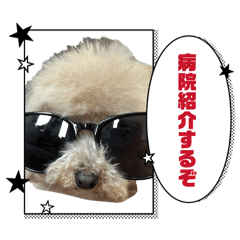 KAITO_20260412140622