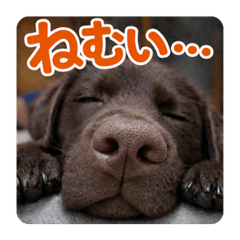 Useful Everyday Greetings3