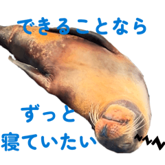 bibi&moca_20260408175019