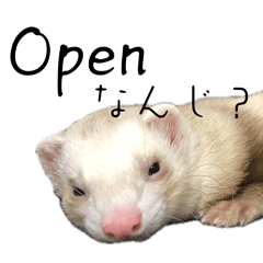 shima_20260412173552