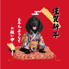 DOG  GOOD  Sticker225