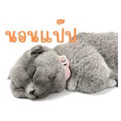 KANVORA_20260412163820