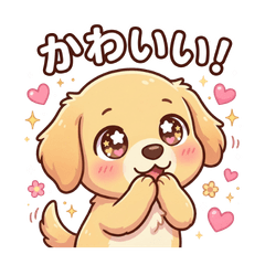 goldenretriever cute 924