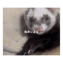 k_20260412184145