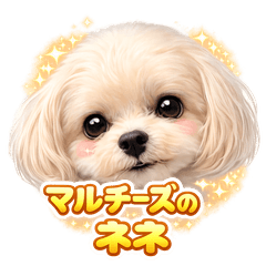 ERIKA_20260411204354