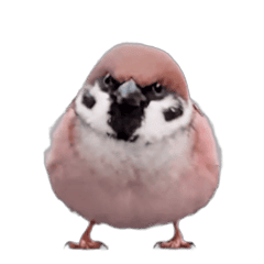 うごくスズメ