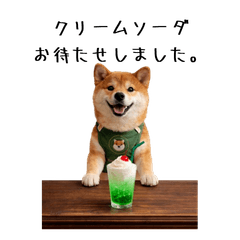 SHIBAINU_COCO