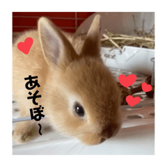 Kisuke_20260412215937