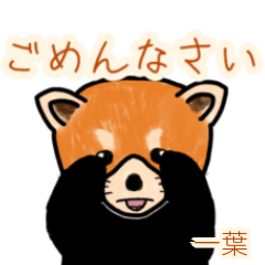Ichiyou's lesser panda (2)