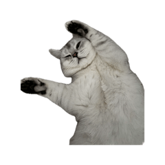 Supattra_20260413015013