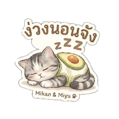 Mikan & Miyu The Cat