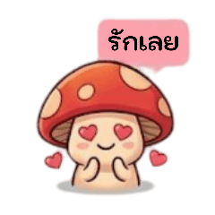 g.fram_20260413114236